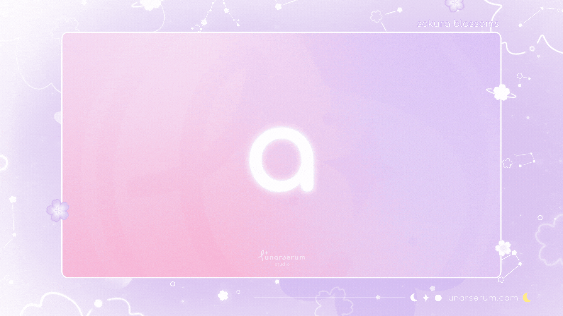 purple sakura stinger transition preview