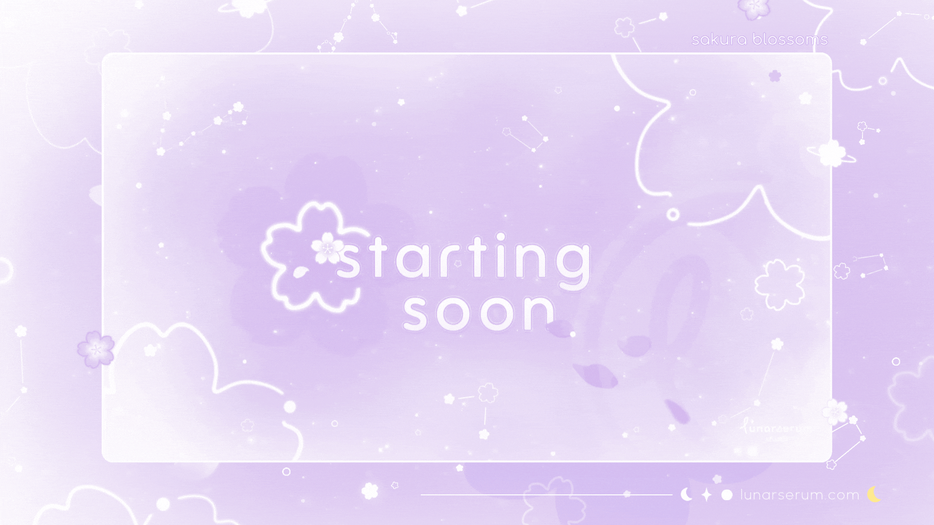 purple sakura scenes preview
